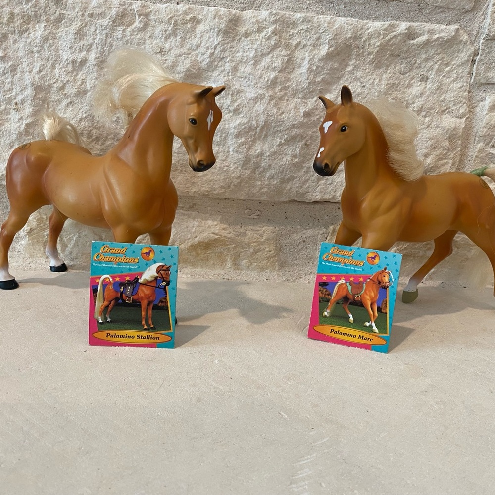 Very used Grand Champion Palomino Stallion and Mare horse